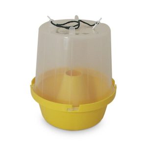 Wasp Pot