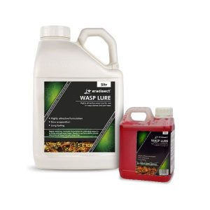 wasp lure
