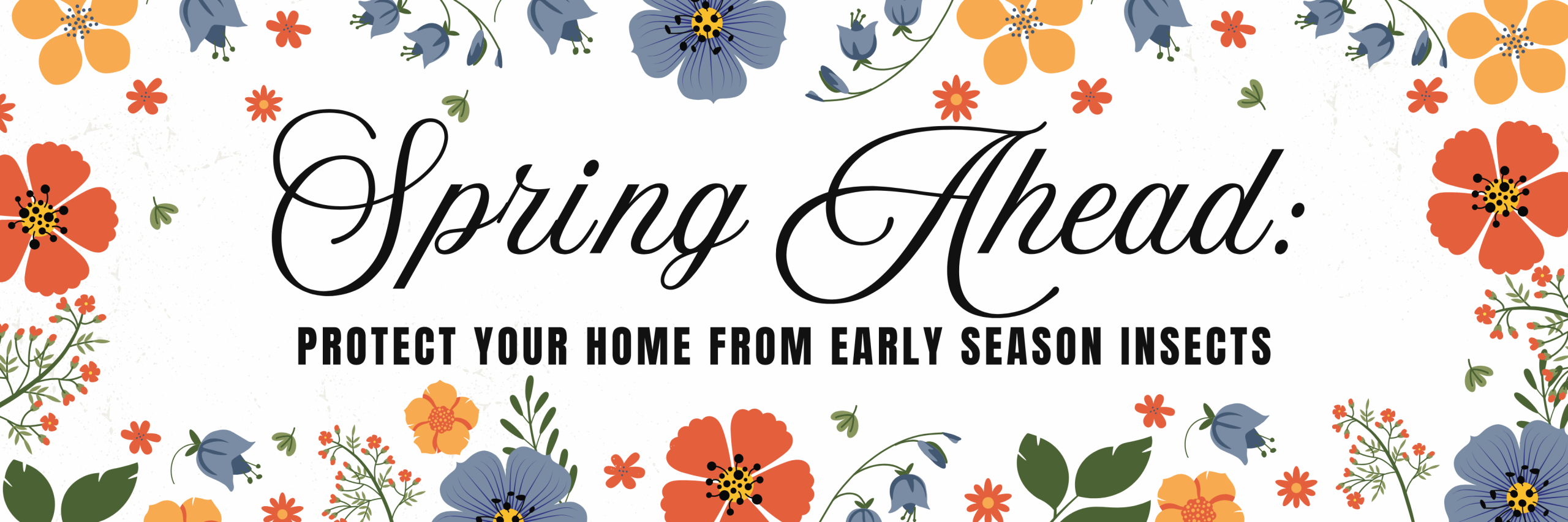Spring Ahead: Protect Your Home from Early Season Insects