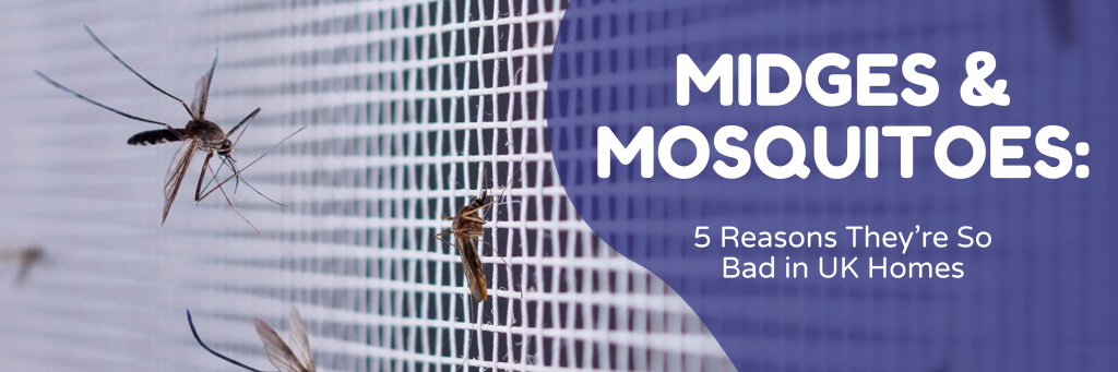 Midges & Mosquitoes: 5 Reasons They’re So Bad in UK Homes