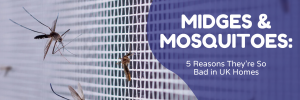 Midges & Mosquitoes: 5 Reasons They’re So Bad in UK Homes